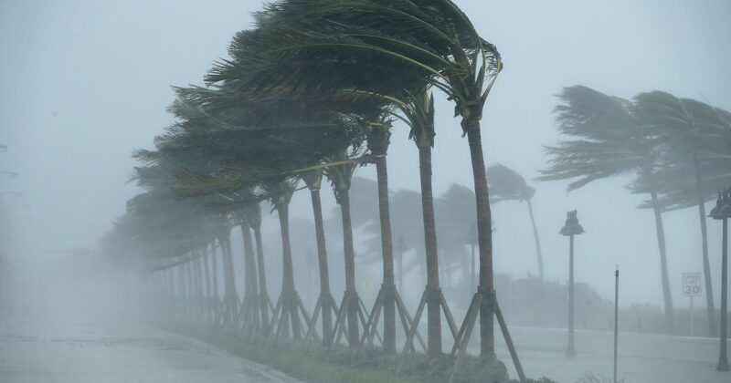 Paramount Fencing’s Comprehensive Guide to Hurricanes